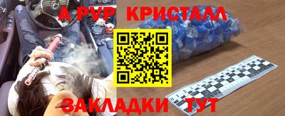PSILOCYBIN Ярославль